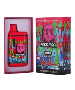 Watermelon Ice Packman V4 Disposable